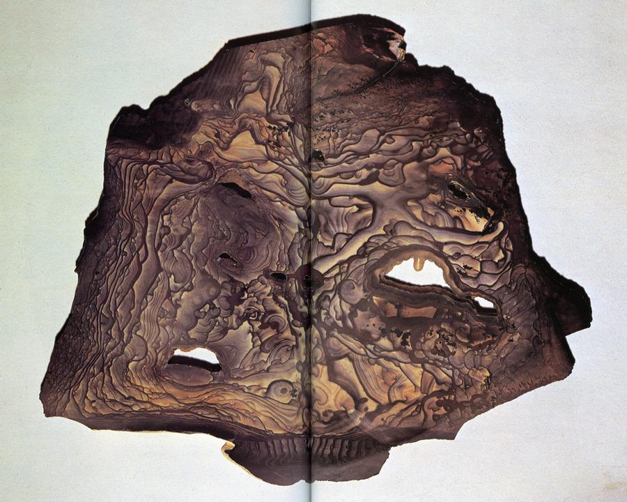 Roger Caillois L'ecriture des pierres.jpg