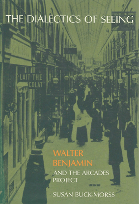 buck-morss_susan_the_dialectics_of_seeing_walter_benjamin_and_the_arcades_project_1989.pdf