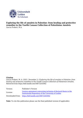 exploring-the-life-of-amulets-in-palestine.pdf