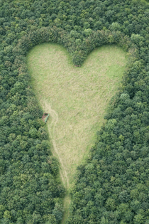 A heart-shaped meadow, created by a farmer as a tribute to his late wife