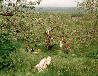 “The Orchard” (1998) by Justine Kurland