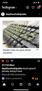 an instagram screenshot of 
garden cress plants sprouting
out of a keyboard, via wikipedia
.
the pic is captioned :
" garden cress can grow almost anywhere "