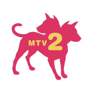 tv_mtv2-1.png