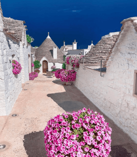 frgq3nlxsaensss?format=jpg-name=large