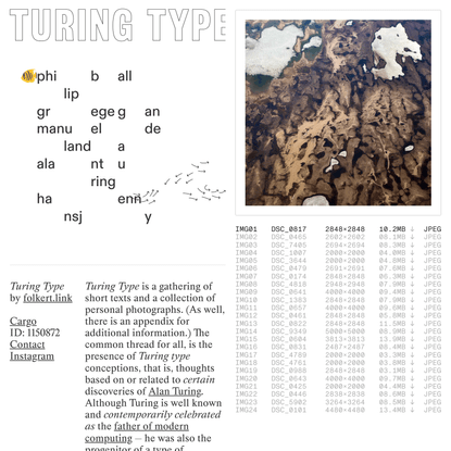 Turing Type by Folkert Gorter