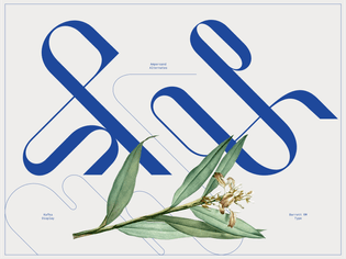 kafka-behance-image-08.png?format=2500w