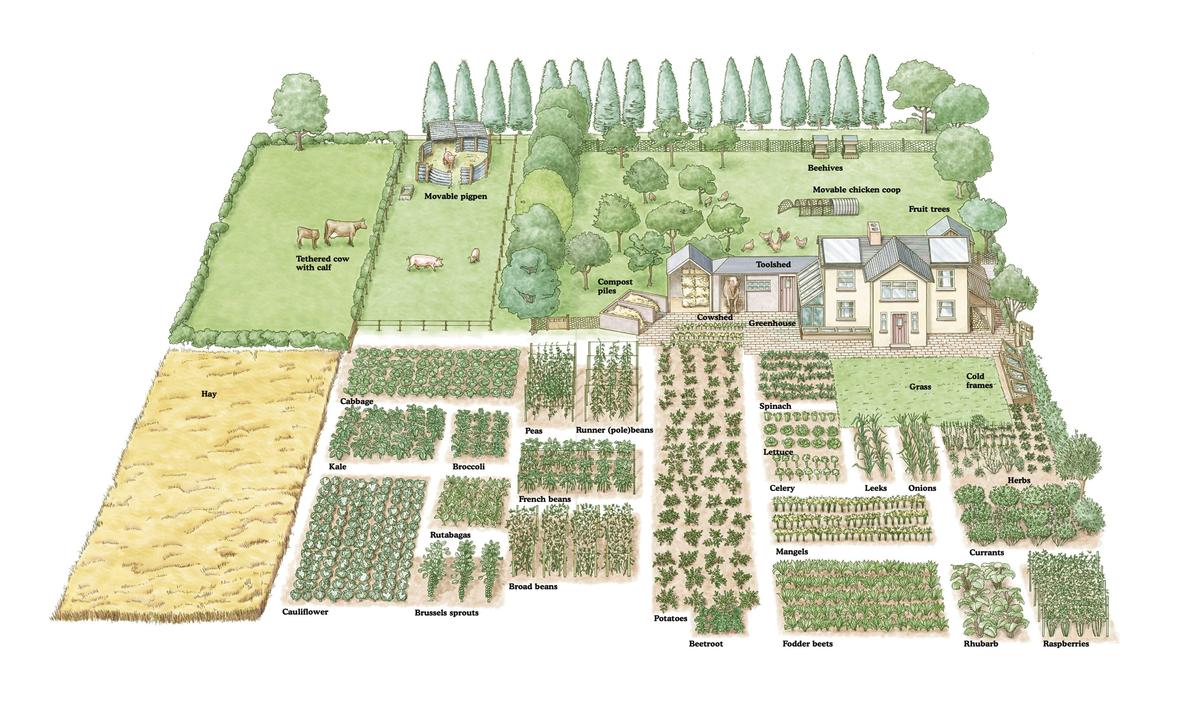 The One-Acre Farm
