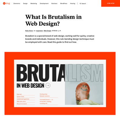 What Is Brutalism in Web Design? | Elementor