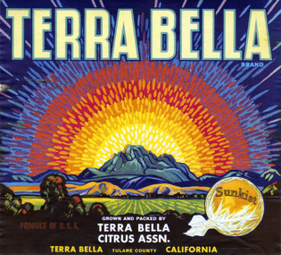 Terra-Bella.jpg