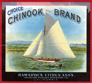 Choice-Chinook.jpg