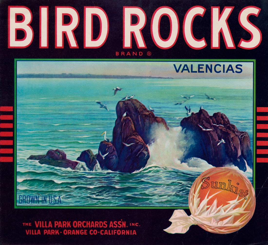 Bird-Rocks.jpg