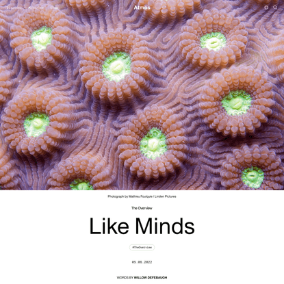 Like Minds | Atmos