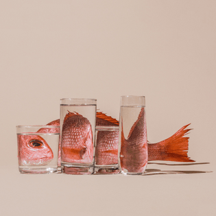 Fish-Behind-Water.SuzanneSaroff.jpg
