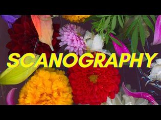 HOW I MAKE FINE ART PHOTOGRAPHY USING A SCANNER | The art of Scanography