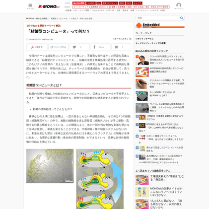 「粘菌型コンピュータ」って何だ？