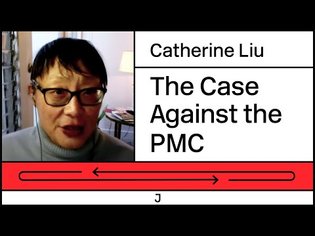 How the PMC Ruins Our Lives - Catherine Liu