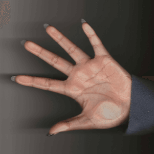hand_scan