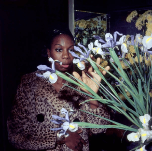 Nina Simone, 1967