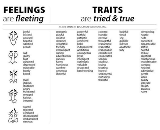feelings-vs-traits.jpeg