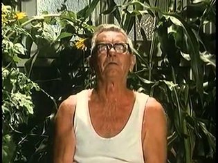 Cane Toads An Unnatural History 1988