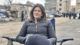 Al Jazeera journalist Shireen Abu Akleh killed in Israeli raid

Shireen Abu Akleh, 51, was covering an Israeli army raid on the Jenin refugee camp when she was shot in the face.

https://bostonreview.net/articles/for-shireen-abu-akleh/
