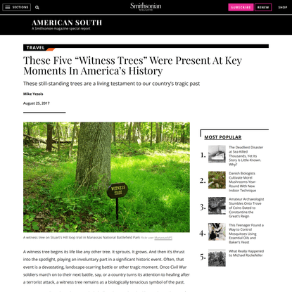 These Five “Witness Trees” Were Present At Key Moments In America’s History