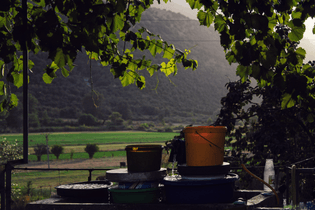 image00091-2-.jpeg