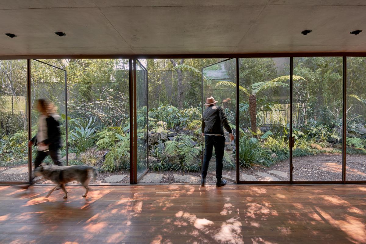 Erasto House by Vertebral