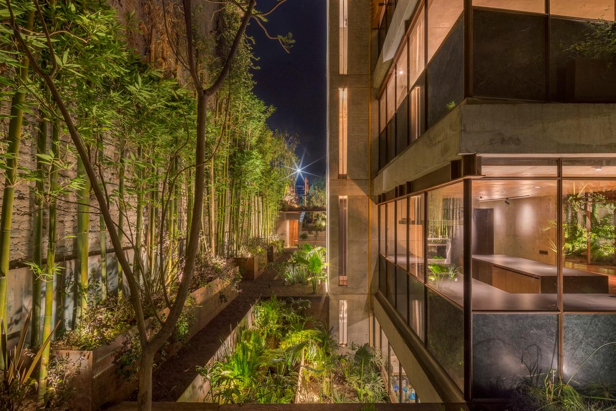 Erasto House by Vertebral