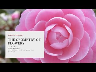 Online Workshop: The Geometry of Flowers