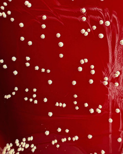 Nocardia carnea on 5% sheep blood agar by Olga Pinegina aka @n_petri