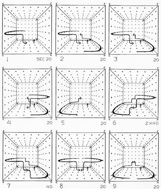 Bernhard Leitner’s Soundcube, 1969
