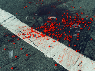 christopher-anderson-cherries-spilled-on-crosswalk.jpg