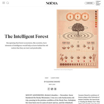 The Intelligent Forest | NOEMA