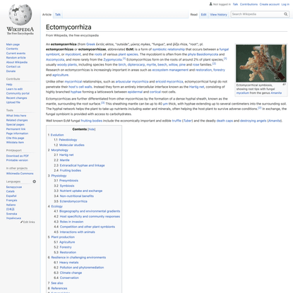 Ectomycorrhiza - Wikipedia