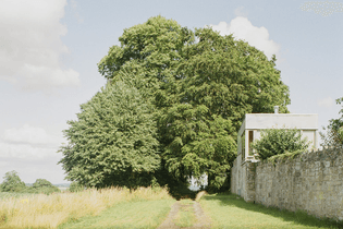Lorenzo Zandri - Smithsons Upper Lawn Pavilion