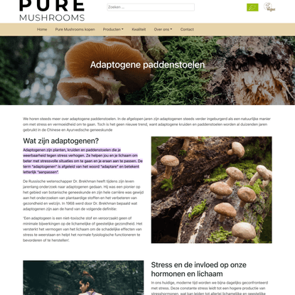 Wat zijn adaptogene paddenstoelen? - Pure Mushrooms