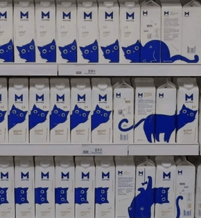 Carton design with cats