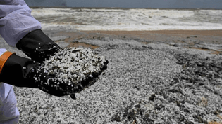 Plastic pellets, also colloquially referred to as ‘nurdles’ on Sarakkuwa Beach
