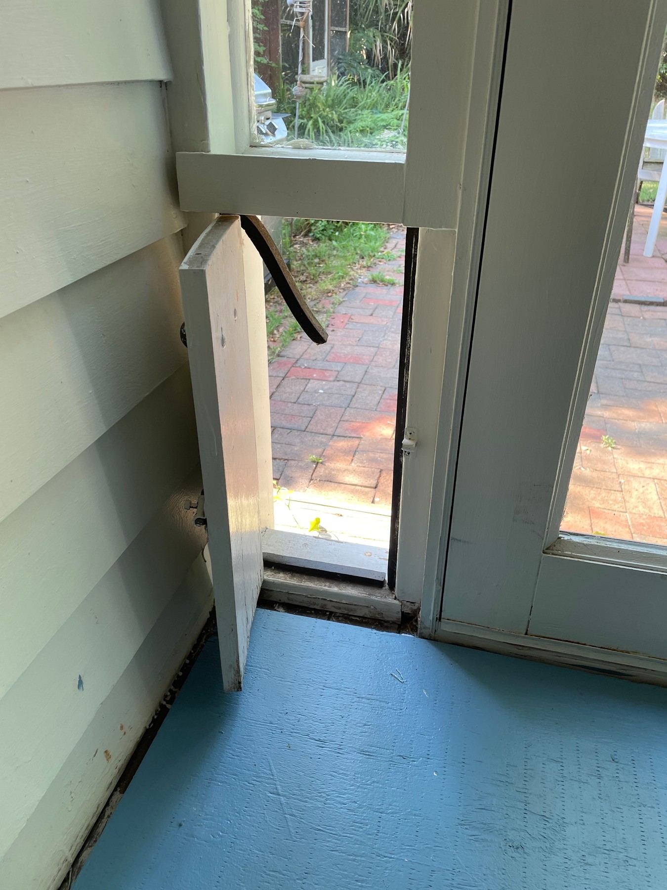 Cat door - open! 