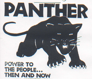 Black-Panther2.jpg