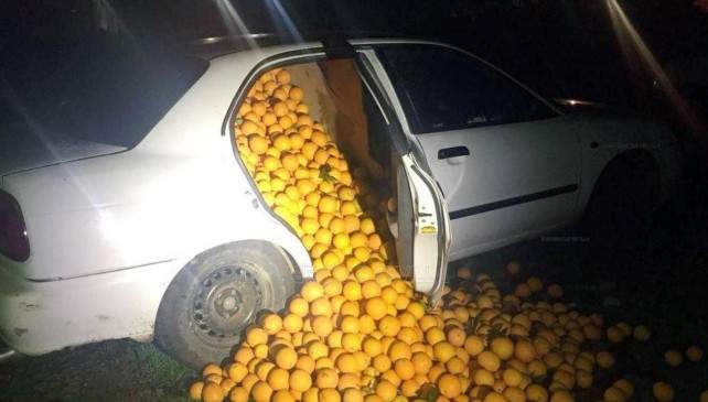 oranges car