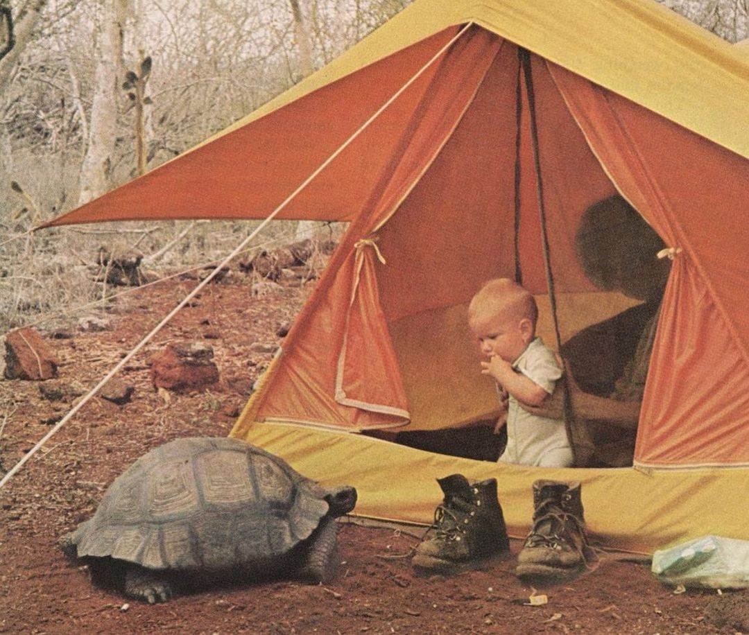 Craig McFarland for National Geographic. Galapagos, 1972 