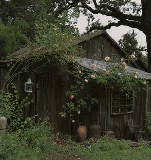 California Cottages: Interior Design, Architecture &amp; Style, 1996  