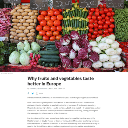 Ever wondered why those giant tomatoes at the grocery store taste like cardboard?