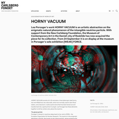HORNY VACUUM | Ny Carlsbergfondet