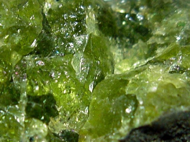PERIDOT1N4038c.JPG