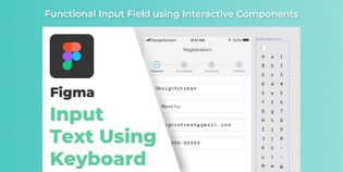 Functional Input Field | Interactive Components Demo (Community)