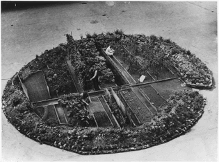 WWII Victory Garden in a London Bomb Crater