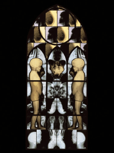 Wim Delvoye – March, 2001, steel, x-ray photographs, lead, glass, 244 x 104 cm
